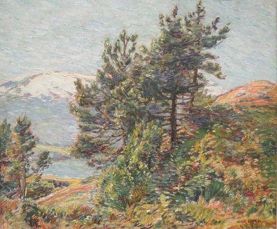 Paysage de pins de Norvège - Walter Griffin